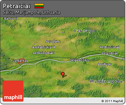 Satellite 3D Map of Petraičiai