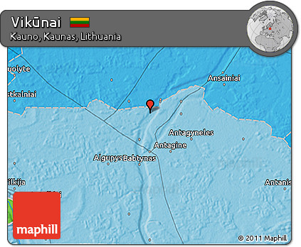 Political 3D Map of Vikūnai
