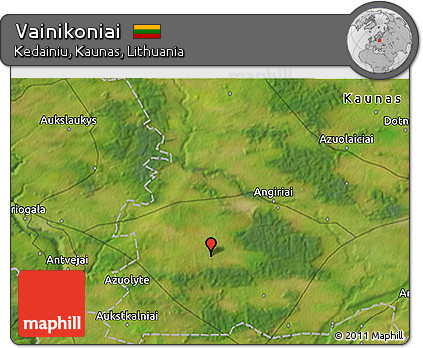 Satellite 3D Map of Vainikoniai