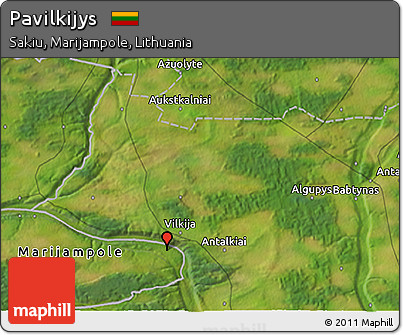 Satellite 3D Map of Pavilkijys