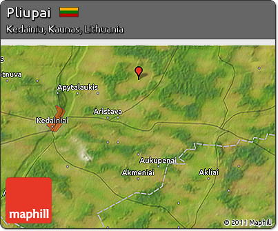 Satellite 3D Map of Pliupai