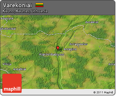 Satellite 3D Map of Varekoniai