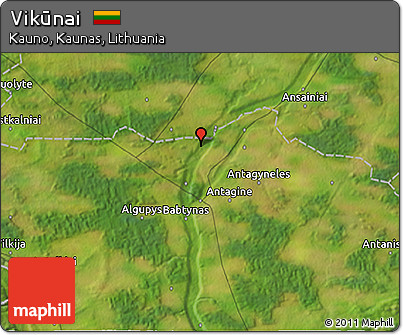Satellite 3D Map of Vikūnai