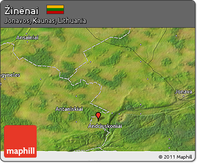 Satellite 3D Map of Žinėnai