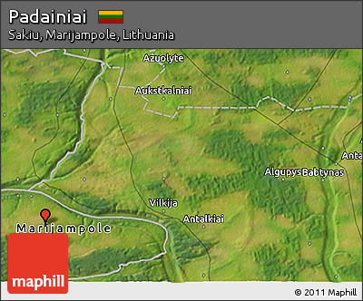 Satellite 3D Map of Padainiai