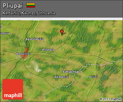Satellite 3D Map of Pliupai