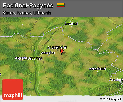 Satellite 3D Map of Pociūnai-Pagynės
