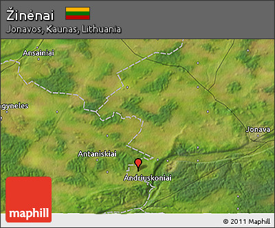 Satellite 3D Map of Žinėnai