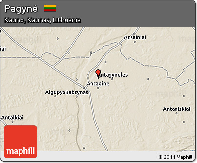 Shaded Relief 3D Map of Pagynė
