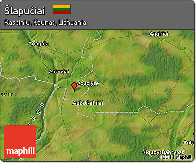Satellite Map of Šlapučiai