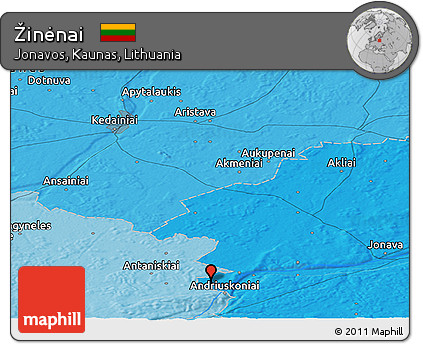 Political Panoramic Map of Žinėnai