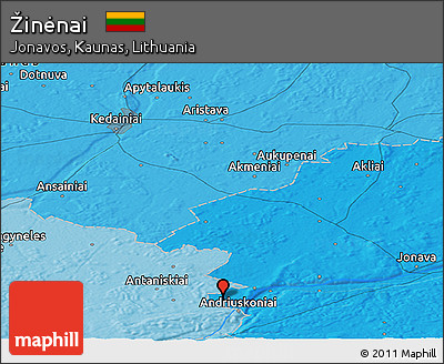 Political Panoramic Map of Žinėnai