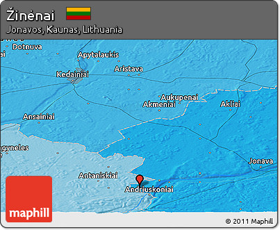 Political Panoramic Map of Žinėnai