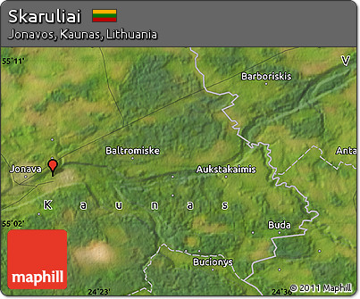 Satellite Map of Skaruliai