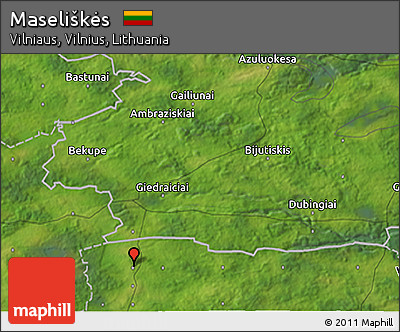 Satellite 3D Map of Maseliškės