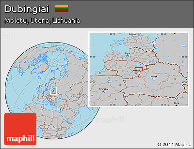 Gray Location Map of Dubingiai