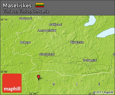 Physical Map of Maseliškės