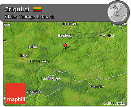 Satellite 3D Map of Griguliai
