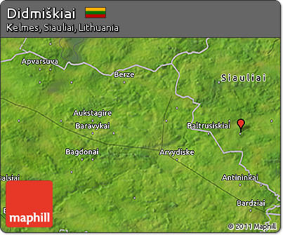 Satellite 3D Map of Didmiškiai