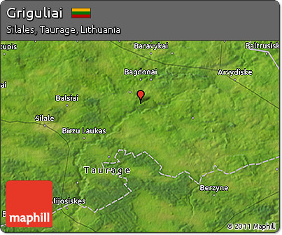 Satellite 3D Map of Griguliai
