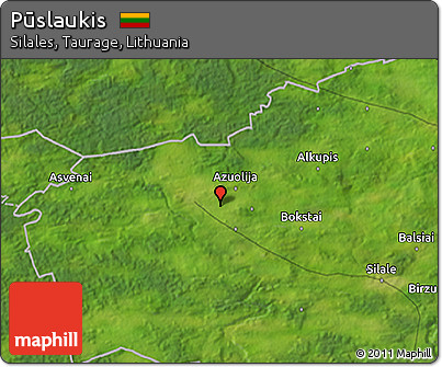 Satellite 3D Map of Pūslaukis