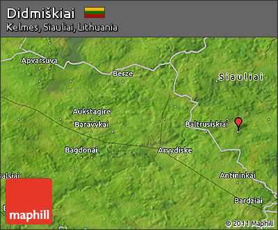 Satellite 3D Map of Didmiškiai