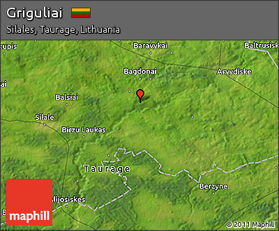 Satellite 3D Map of Griguliai