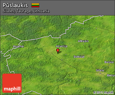 Satellite 3D Map of Pūslaukis