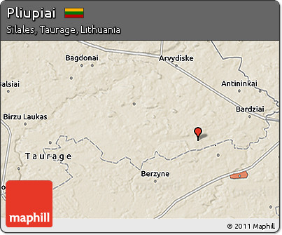 Shaded Relief 3D Map of Pliupiai