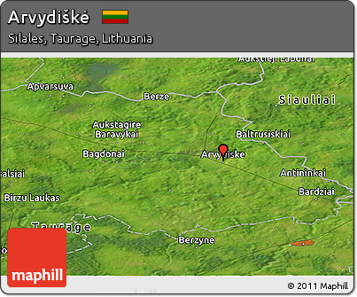 Satellite Panoramic Map of Arvydiškė