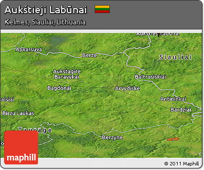 Satellite Panoramic Map of Aukštieji Labūnai