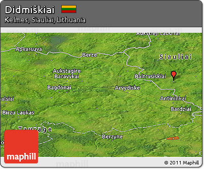 Satellite Panoramic Map of Didmiškiai