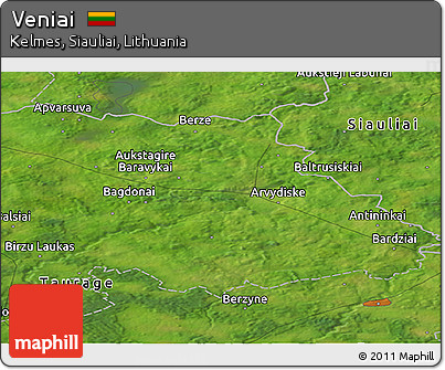 Satellite Panoramic Map of Veniai