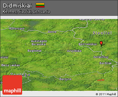 Satellite Panoramic Map of Didmiškiai