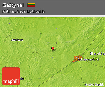 Physical 3D Map of Gaštynai