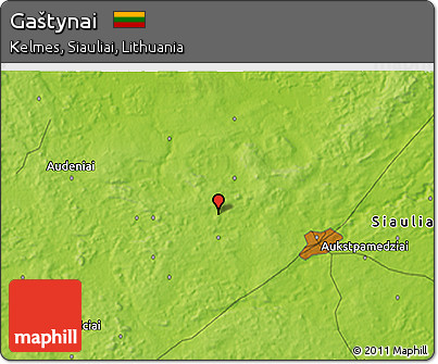 Physical 3D Map of Gaštynai