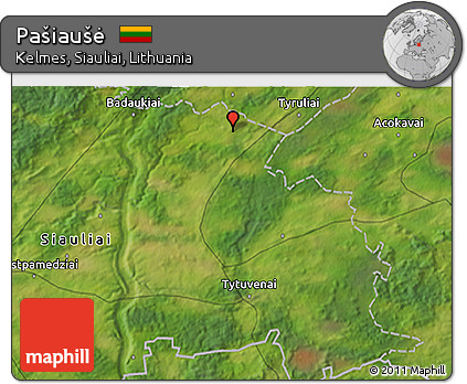 Satellite 3D Map of Pašiaušė