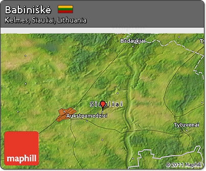 Satellite 3D Map of Babiniškė