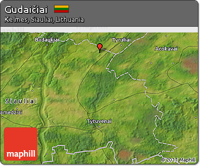 Satellite 3D Map of Gudaičiai