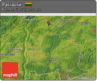 Satellite 3D Map of Pašiaušė