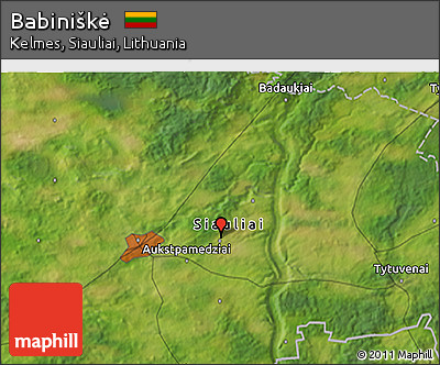 Satellite 3D Map of Babiniškė