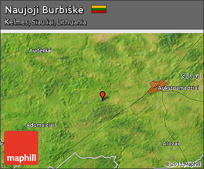 Satellite 3D Map of Naujoji Burbiškė