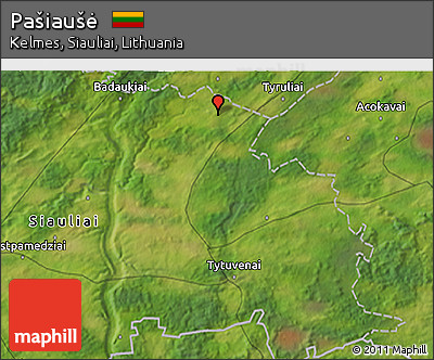 Satellite 3D Map of Pašiaušė