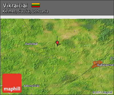 Satellite 3D Map of Vikraičiai