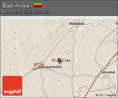 Shaded Relief 3D Map of Babiniškė