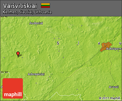Physical Map of Vaišviliškiai