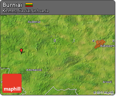 Satellite Map of Burniai