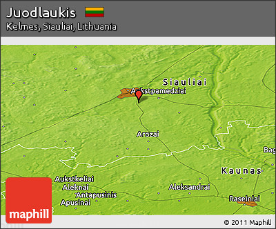 Physical Panoramic Map of Juodlaukis