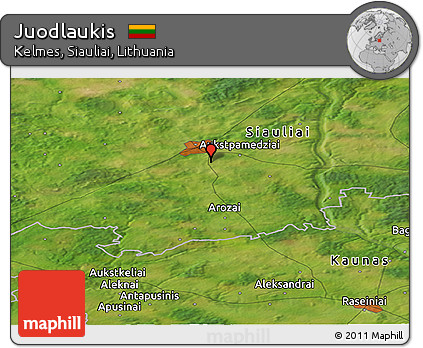 Satellite Panoramic Map of Juodlaukis