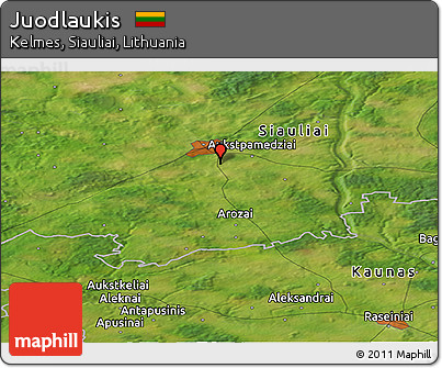 Satellite Panoramic Map of Juodlaukis
